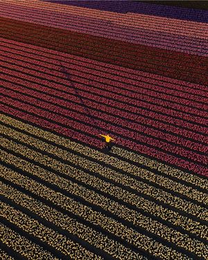 Image post by @dronepals on Instagram