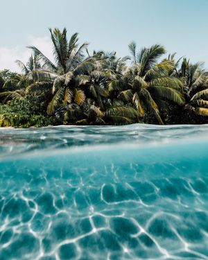 Image post by @slatertrout on Instagram