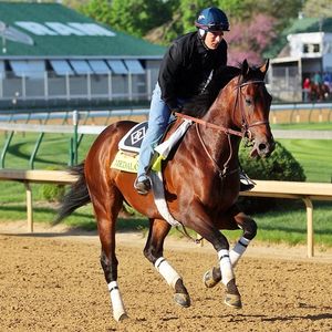 Image post by @spendthriftfarm on Instagram