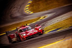 Image post by @pipoderani on Instagram