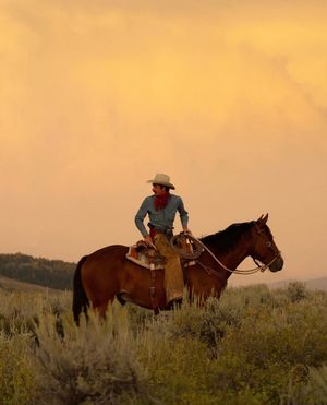 Image post by @diamondcrossranch on Instagram