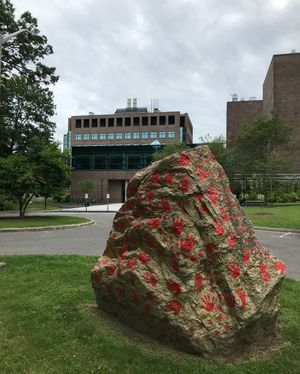 Image post by @stonybrooku on Instagram