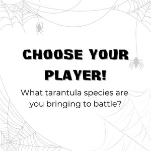 Image post by @butterflypavilion on Instagram