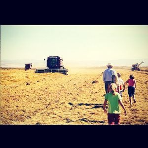 Image post by @lundbergfarms on Instagram