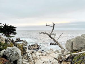 Image post by @pebblebeachresorts on Instagram