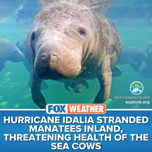 Image post by @foxweather on Instagram