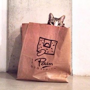 Image post by @lepainquotidienus on Instagram