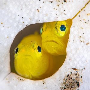 Image post by @discovery on Instagram