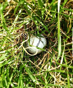 Image post by @wilsongolfcanada on Instagram