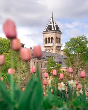 Image post by @utahstatealumni on Instagram
