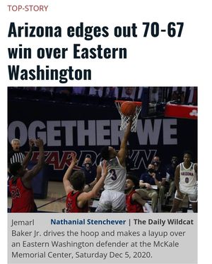 Image post by @dailywildcat on Instagram