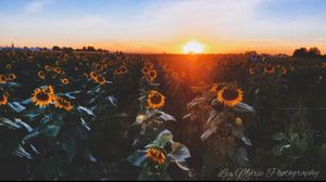 Image post by @boise_bucketlist on Instagram