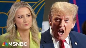 Video post by @msnbc on YouTube