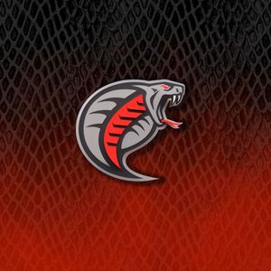 Image post by @carcobras on Instagram