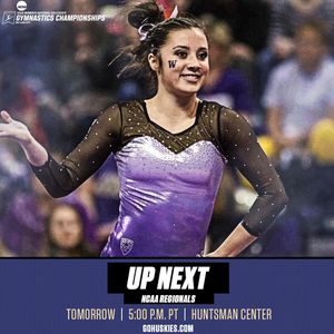 Image post by @uwgymnastics on Instagram
