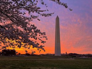 Image post by @nationalparkservice on Instagram