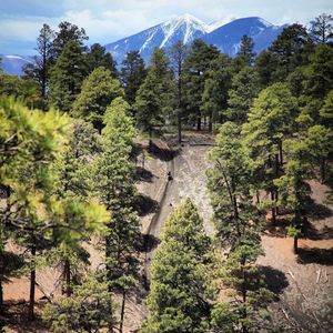 Image post by @nauflagstaff on Instagram