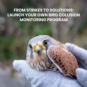 Image post by @featherfriendly on Instagram