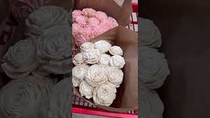 Video post by @lowes on YouTube