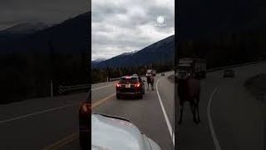 Video post by @accuweather on YouTube