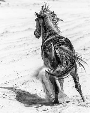 Image post by @jpotterphoto on Instagram