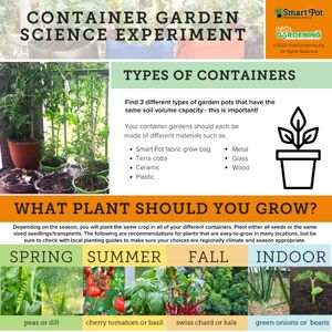 Image post by @kidsgardening on Instagram