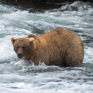 Image post by @nationalparkservice on Instagram