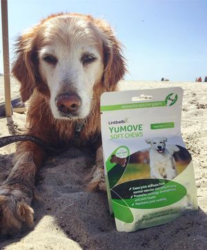 Image post by @yumove_usa on Instagram