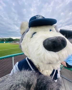 Image post by @duluthhuskies on Instagram