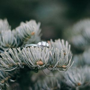Image post by @sydneybphotography on Instagram