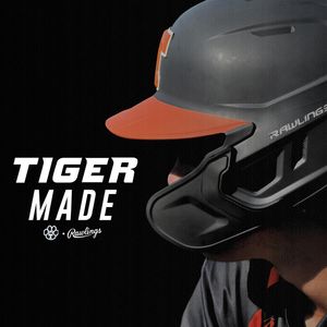 Image post by @rawlingstigers on Instagram
