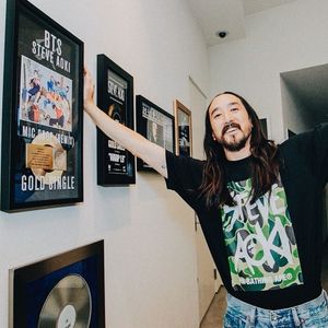 Image post by @steveaoki on Instagram