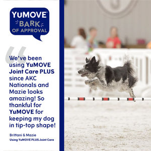 Image post by @YuMOVE.US on Facebook