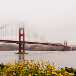 Image post by @thelensdaddy on Instagram
