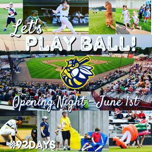 Image post by @burlington_bees on Instagram