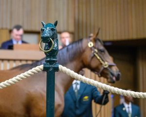 Image post by @thebloodhorse on Instagram