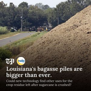 Image post by @nolanews on Instagram