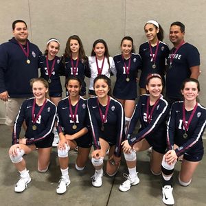 Image post by @mytribevolleyball on Instagram