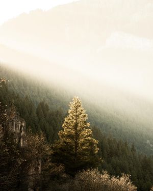 Image post by @_myers_photography_ on Instagram