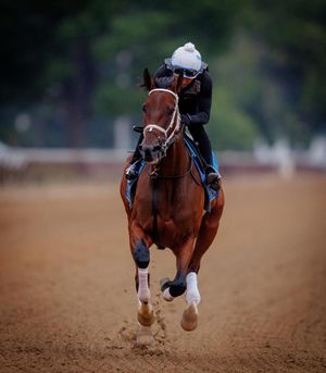 Image post by @breederscup on Instagram