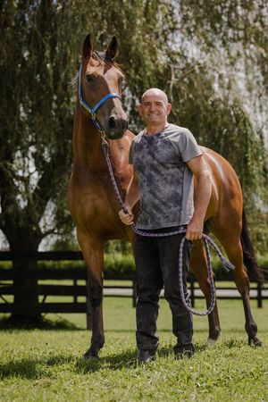 Image post by @NZHorseAmbulanceTrust on Facebook