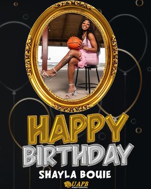 Image post by @uapblionswbb on Instagram