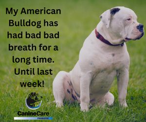 Image post by @equinecareprobiotic on Instagram