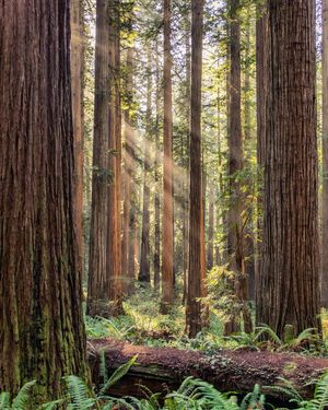 Image post by @nationalparkscollective on Instagram