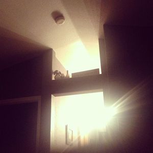 Image post by @adamschmisek on Instagram