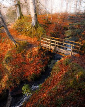 Image post by @visitscotland on Instagram