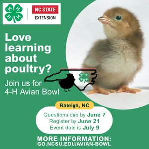 Image post by @northcarolina4h on Instagram