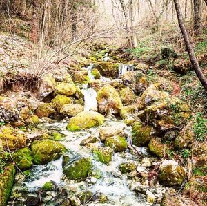 Image post by @cimbaitaly on Instagram