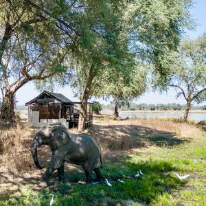 Image post by @chiawasafaris on Instagram