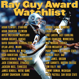 Image post by @RayGuyAward on Twitter/X